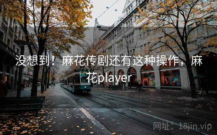 没想到！麻花传剧还有这种操作，麻花player